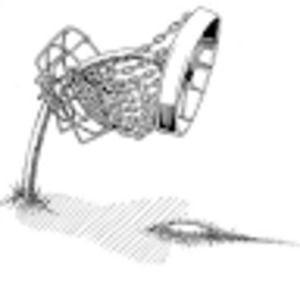 Meet your Posher, Dwight